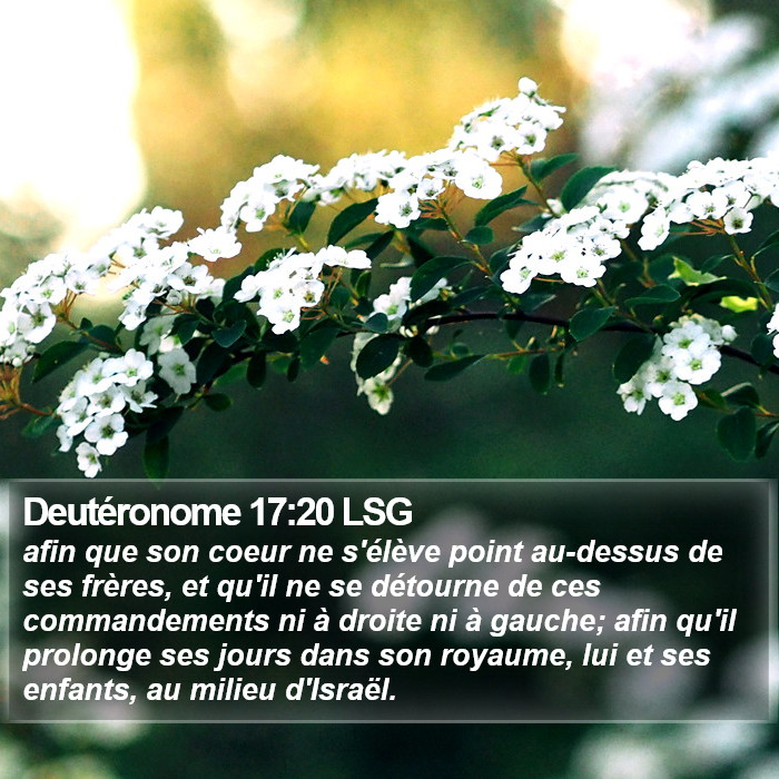 Deutéronome 17:20 LSG Bible Study