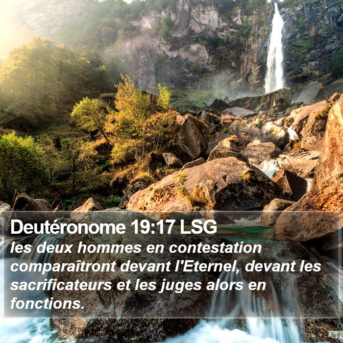 Deutéronome 19:17 LSG Bible Study