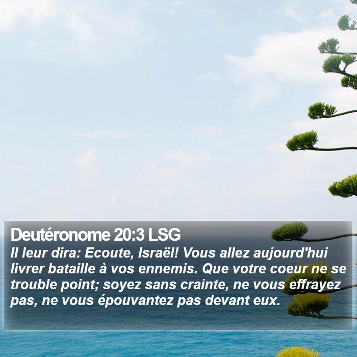 Deutéronome 20:3 LSG Bible Study
