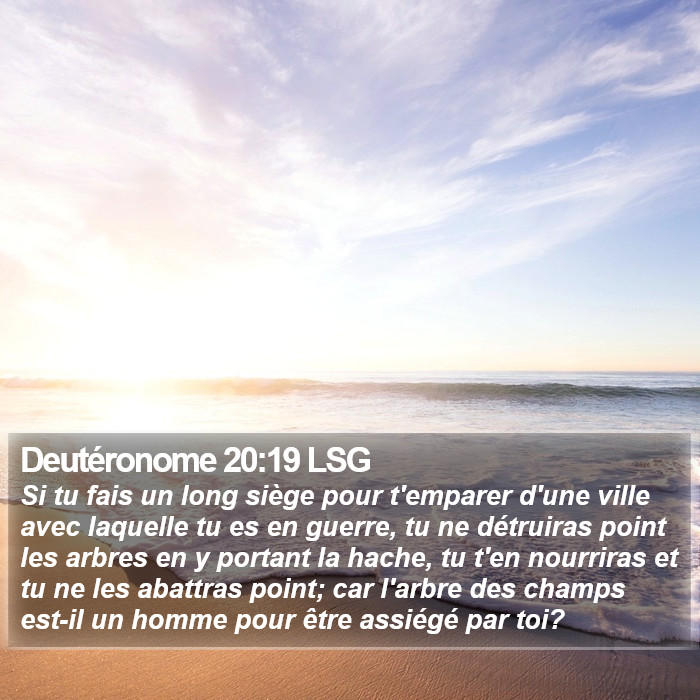 Deutéronome 20:19 LSG Bible Study