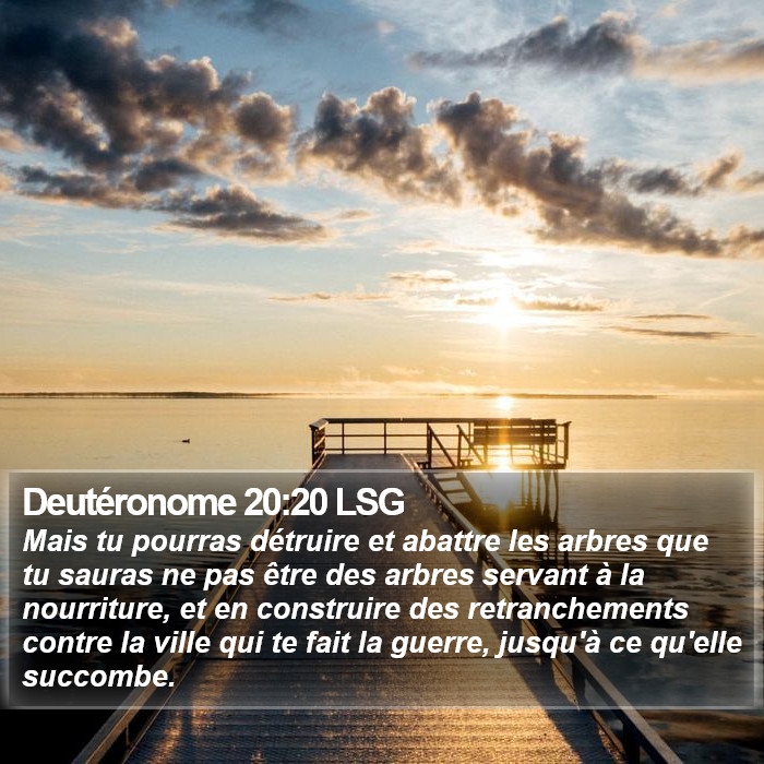 Deutéronome 20:20 LSG Bible Study