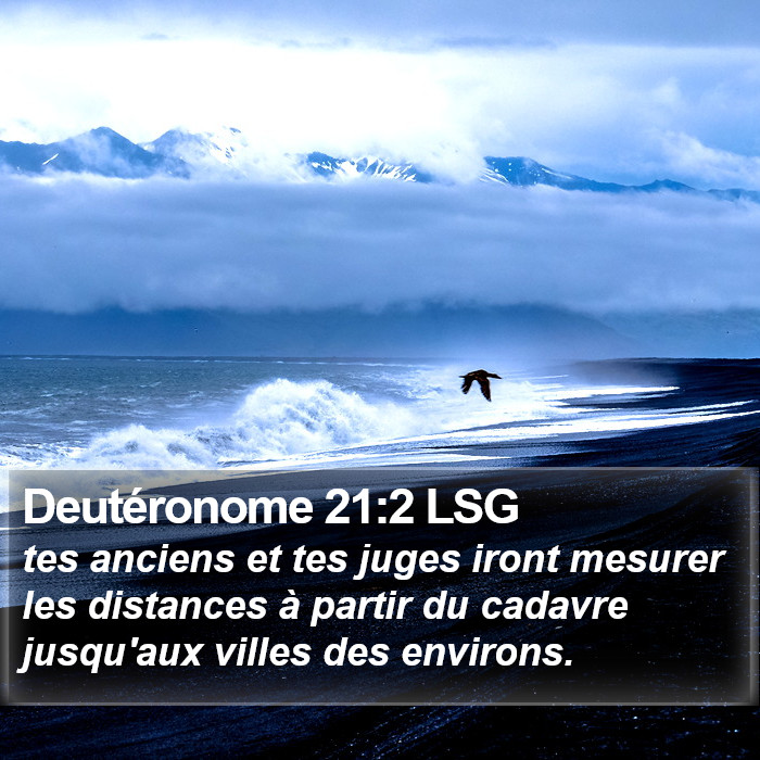 Deutéronome 21:2 LSG Bible Study