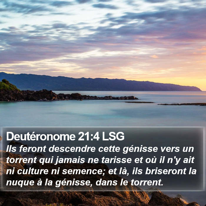 Deutéronome 21:4 LSG Bible Study