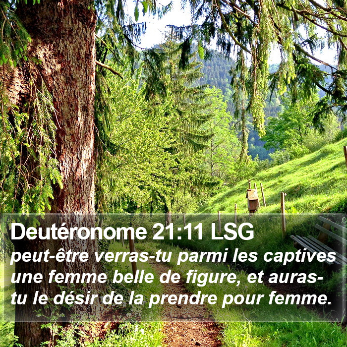 Deutéronome 21:11 LSG Bible Study