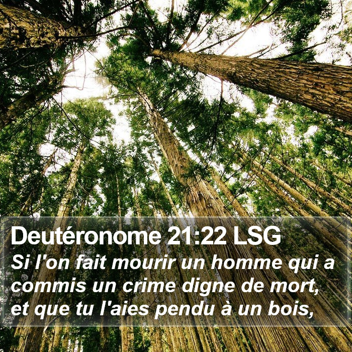 Deutéronome 21:22 LSG Bible Study