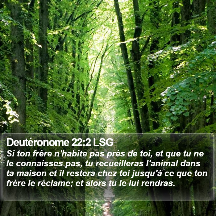 Deutéronome 22:2 LSG Bible Study