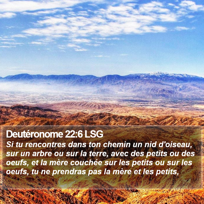 Deutéronome 22:6 LSG Bible Study