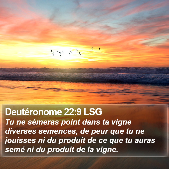 Deutéronome 22:9 LSG Bible Study