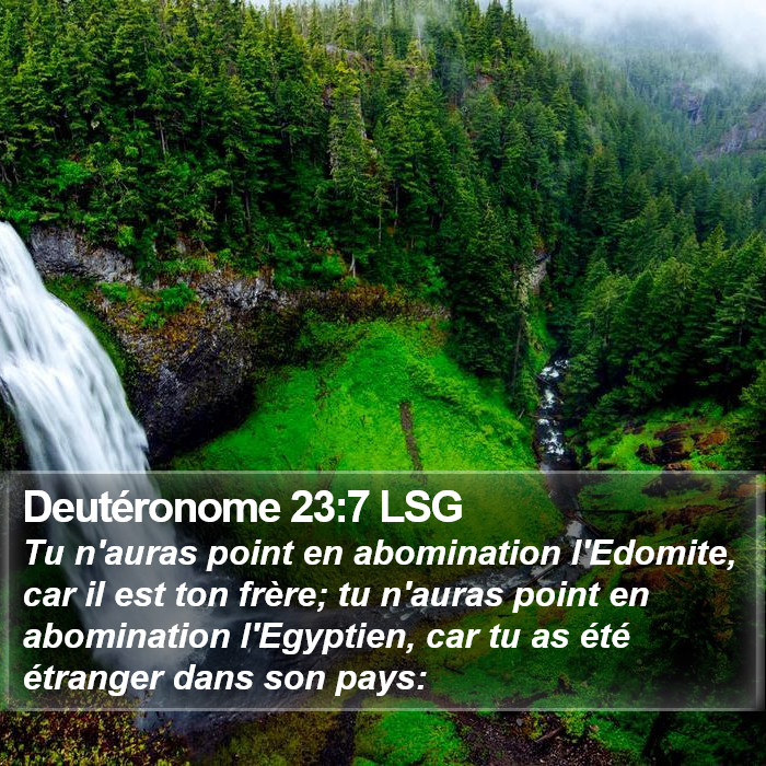 Deutéronome 23:7 LSG Bible Study