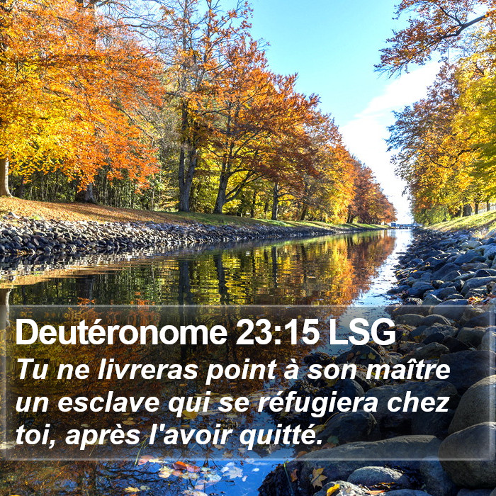 Deutéronome 23:15 LSG Bible Study
