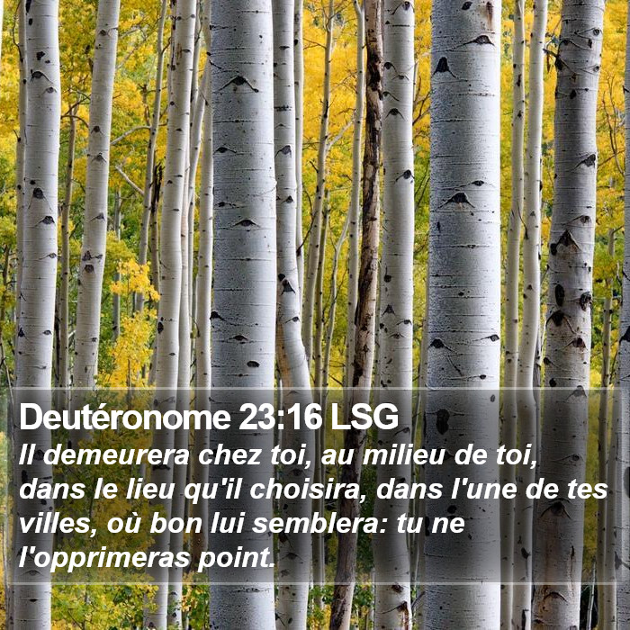 Deutéronome 23:16 LSG Bible Study