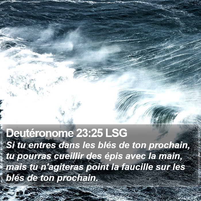 Deutéronome 23:25 LSG Bible Study