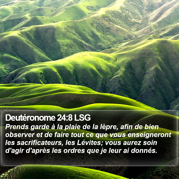 Deutéronome 24:8 LSG Bible Study