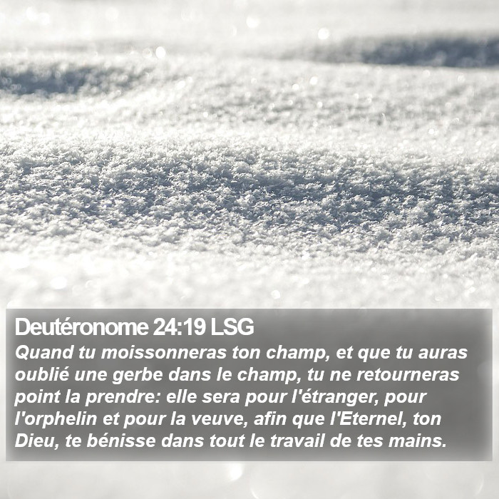 Deutéronome 24:19 LSG Bible Study