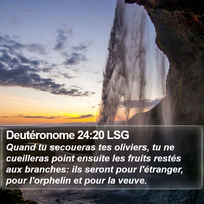 Deutéronome 24:20 LSG Bible Study