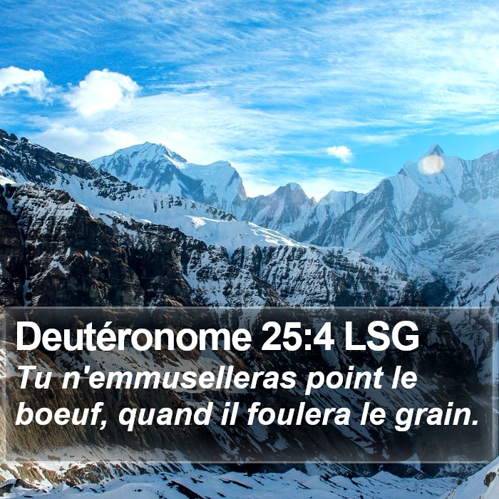 Deutéronome 25:4 LSG Bible Study