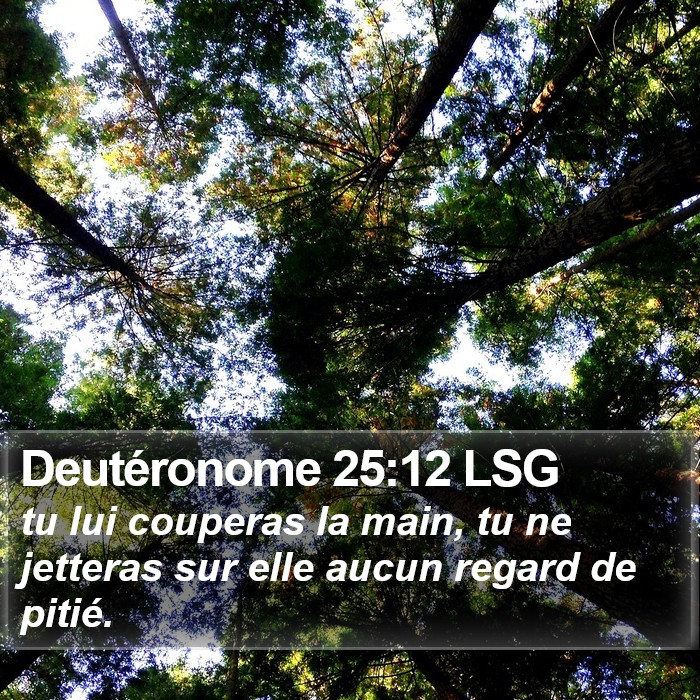 Deutéronome 25:12 LSG Bible Study