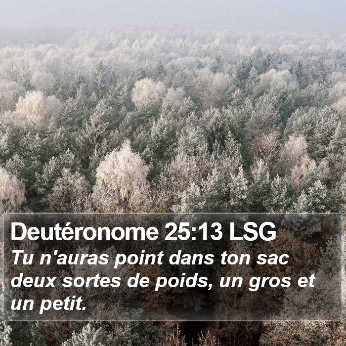 Deutéronome 25:13 LSG Bible Study