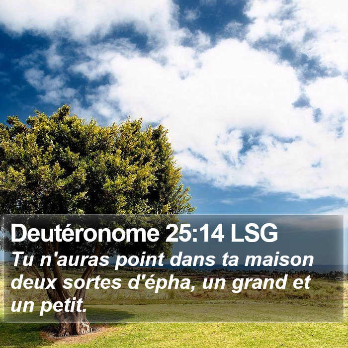 Deutéronome 25:14 LSG Bible Study