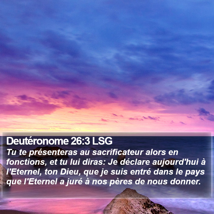 Deutéronome 26:3 LSG Bible Study