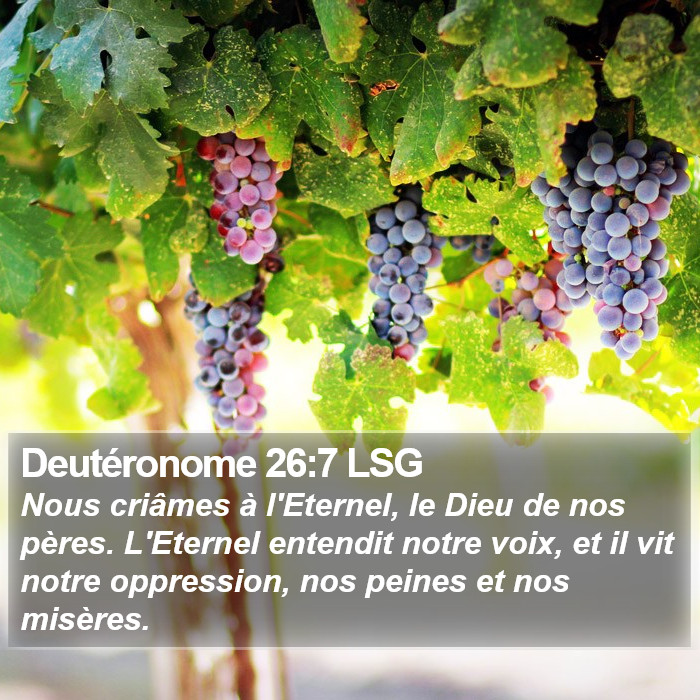 Deutéronome 26:7 LSG Bible Study
