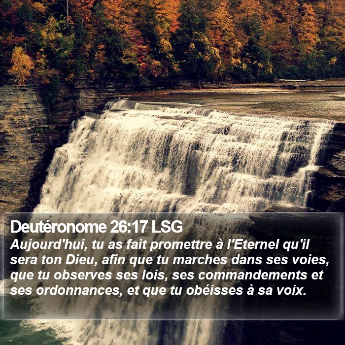 Deutéronome 26:17 LSG Bible Study
