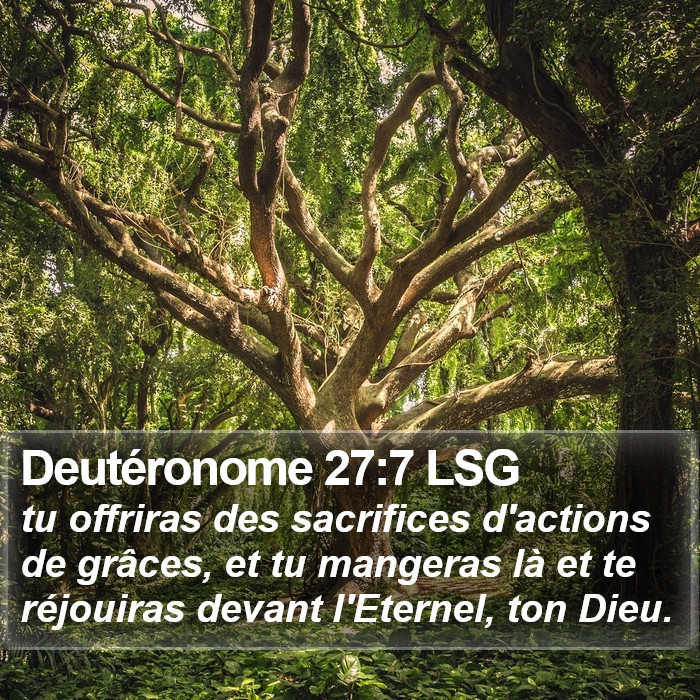 Deutéronome 27:7 LSG Bible Study