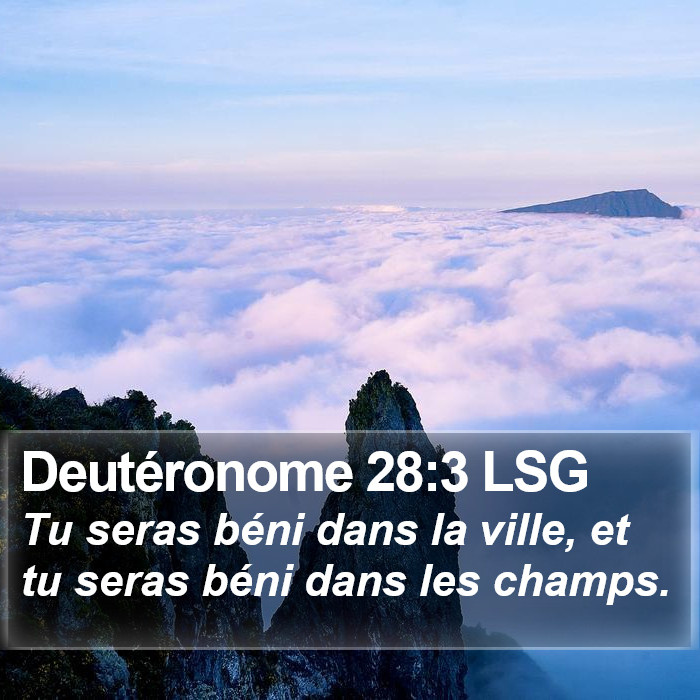 Deutéronome 28:3 LSG Bible Study