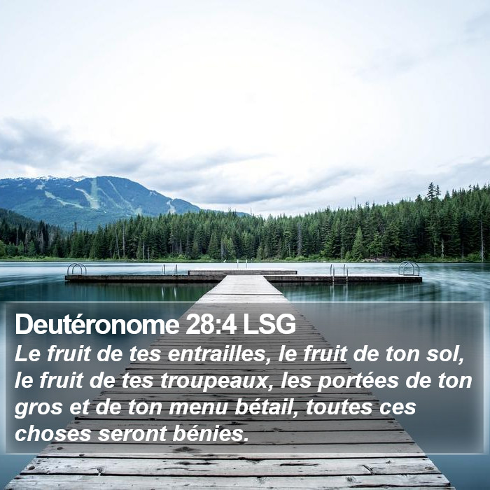 Deutéronome 28:4 LSG Bible Study