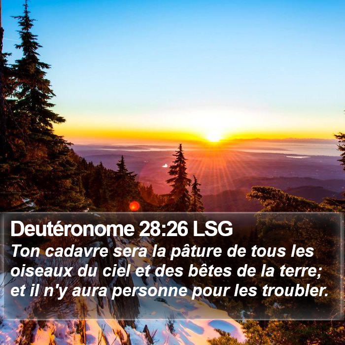 Deutéronome 28:26 LSG Bible Study