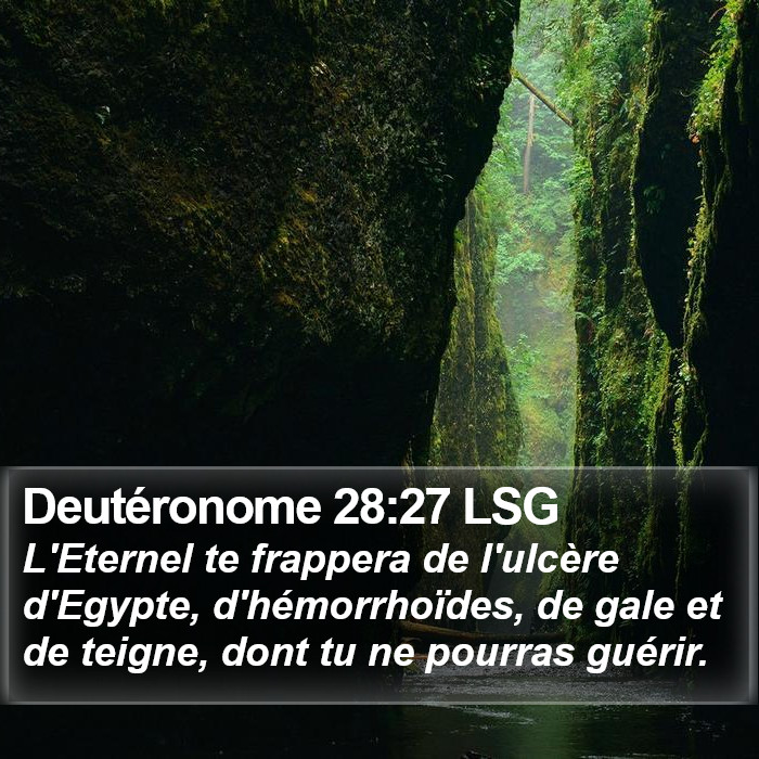 Deutéronome 28:27 LSG Bible Study