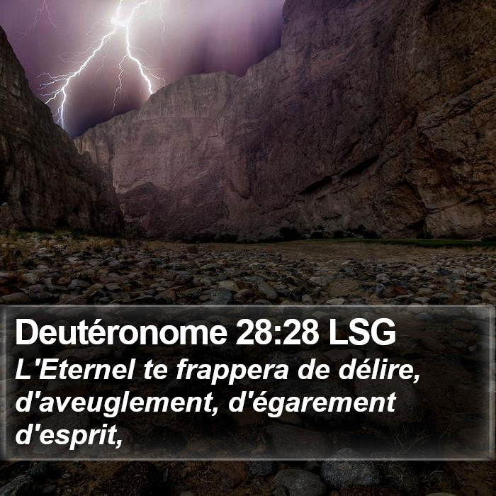 Deutéronome 28:28 LSG Bible Study