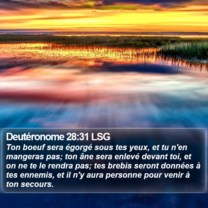 Deutéronome 28:31 LSG Bible Study