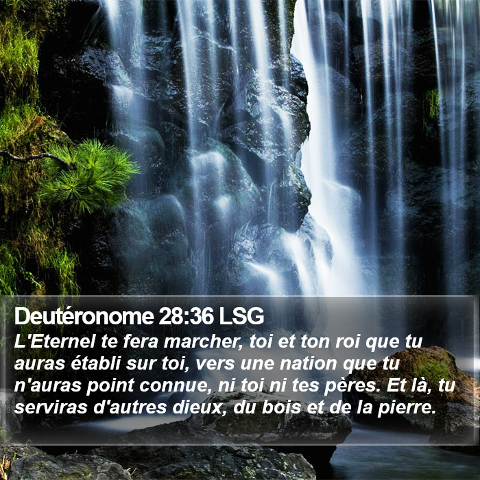 Deutéronome 28:36 LSG Bible Study
