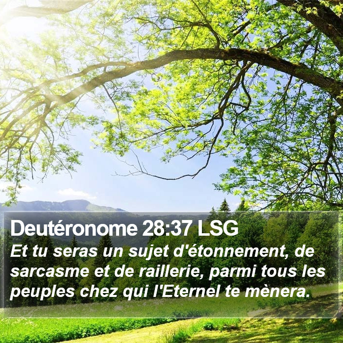 Deutéronome 28:37 LSG Bible Study