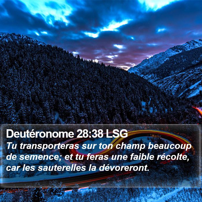 Deutéronome 28:38 LSG Bible Study