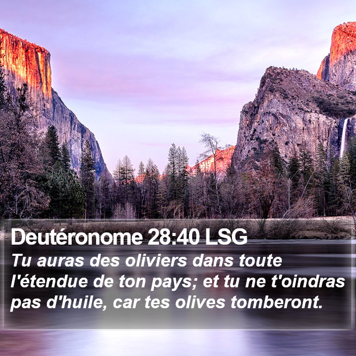 Deutéronome 28:40 LSG Bible Study