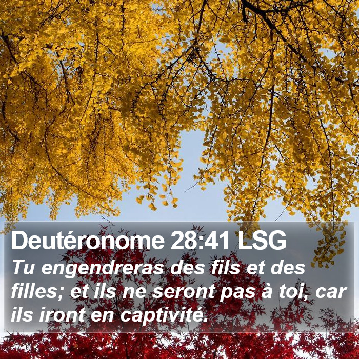 Deutéronome 28:41 LSG Bible Study