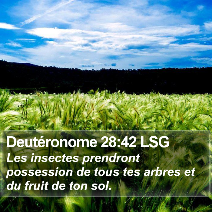 Deutéronome 28:42 LSG Bible Study