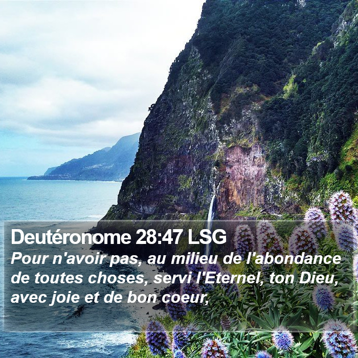 Deutéronome 28:47 LSG Bible Study