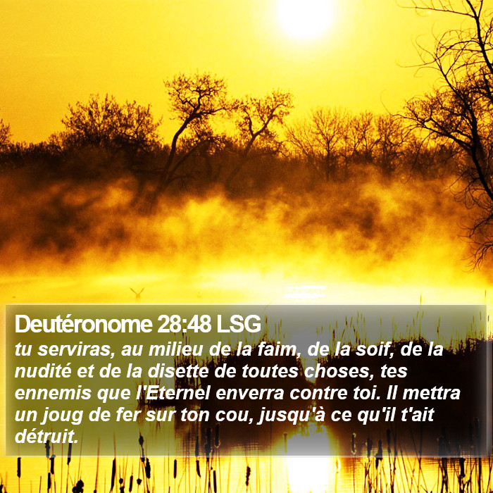 Deutéronome 28:48 LSG Bible Study