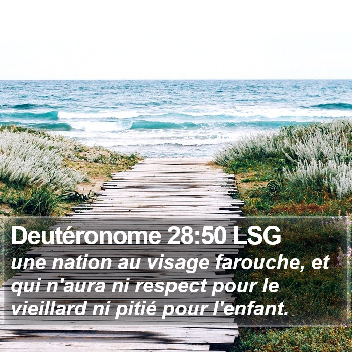 Deutéronome 28:50 LSG Bible Study