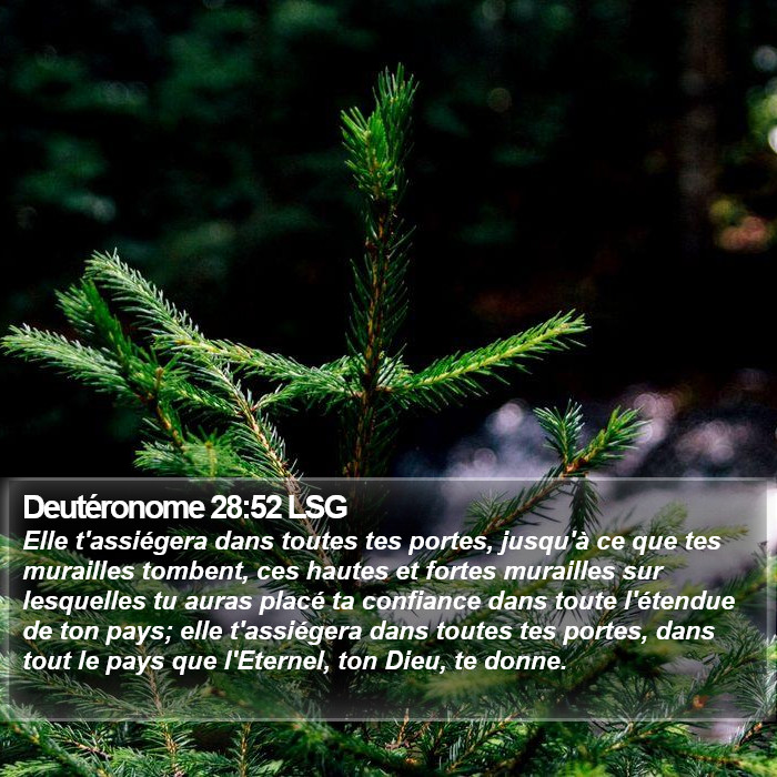 Deutéronome 28:52 LSG Bible Study