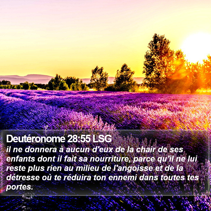 Deutéronome 28:55 LSG Bible Study