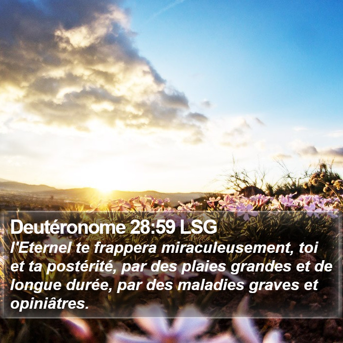 Deutéronome 28:59 LSG Bible Study