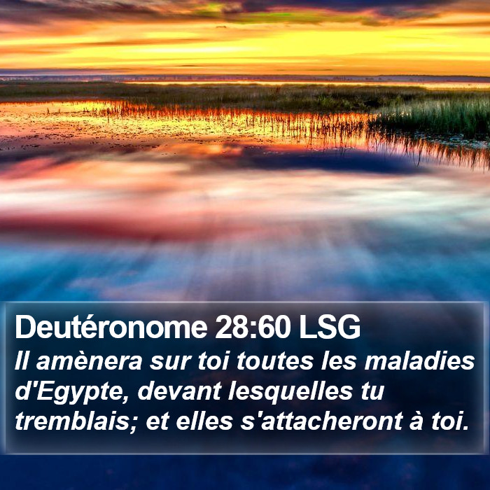 Deutéronome 28:60 LSG Bible Study