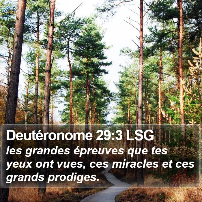 Deutéronome 29:3 LSG Bible Study