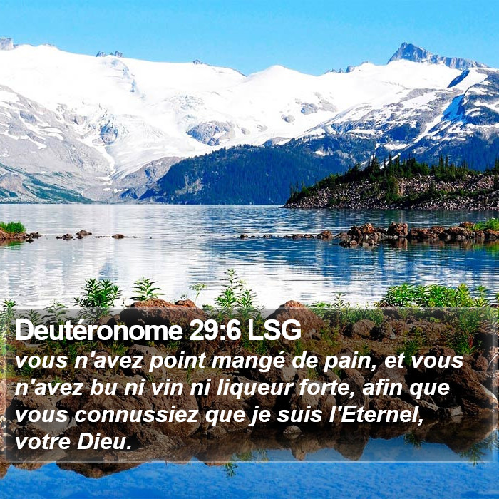 Deutéronome 29:6 LSG Bible Study