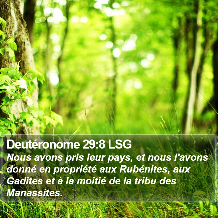 Deutéronome 29:8 LSG Bible Study