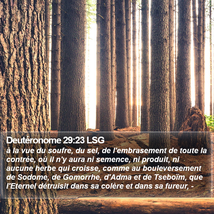 Deutéronome 29:23 LSG Bible Study